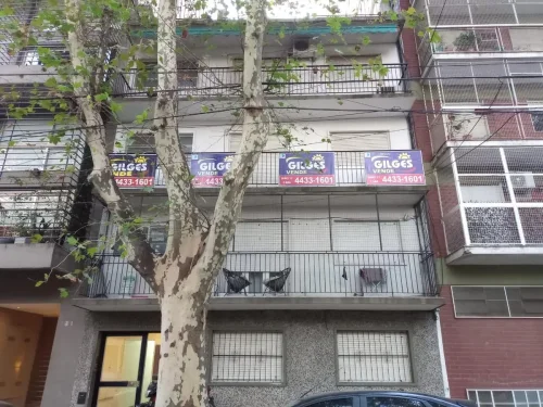 Departamento 2 ambientes en COLPAYO  al 800